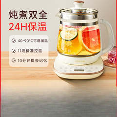 熊養生壺オフィス小型家庭用煮物一体煮ティーポット電気ポット2025新型湯たんぽ