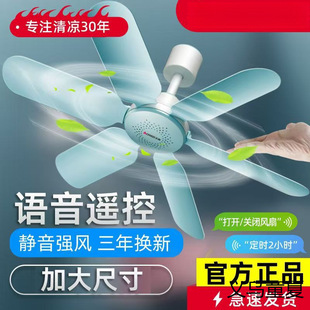Chigo Small Ceiling Fan Dormitory Student Bedroom Bed 6-Blade Household Large Wind Mini Ceiling Mosquito Net Electric Fan Small