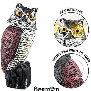 Cross-Border Courtyard Outdoor 360-Degree Shaking Head Artificial Owl to Repel Mice and Birds Courtyard Ornaments Owl