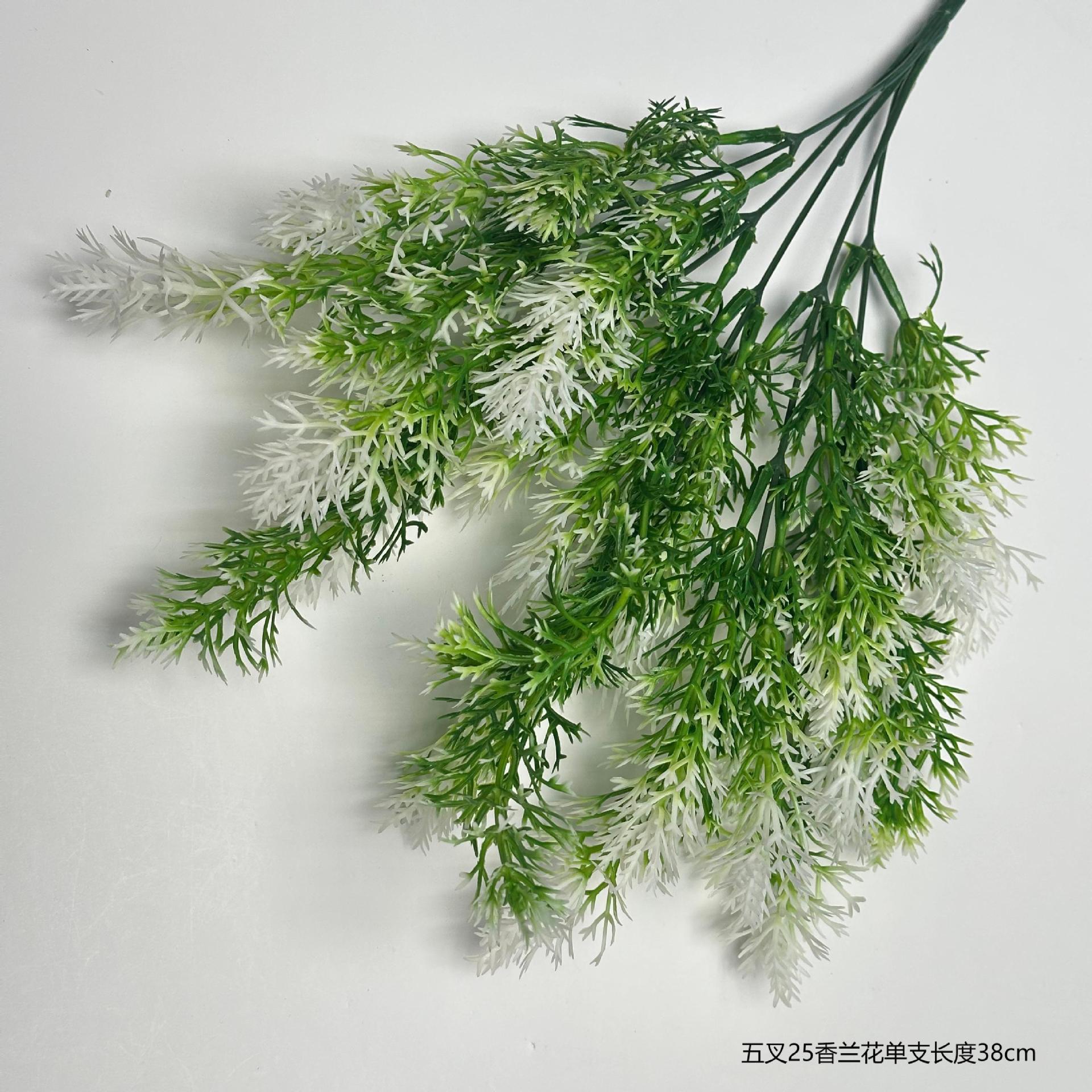 바닐라