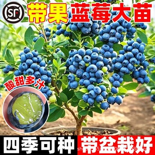 �����{ݮ���玧���������ش�̖��������ͺ��Ϸ������Nֲ����Y��
