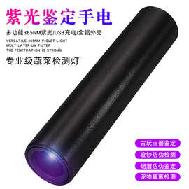 5新黑镜鉴定紫光灯瓜果蔬果残留检测USB充电led紫外线紫光手电筒