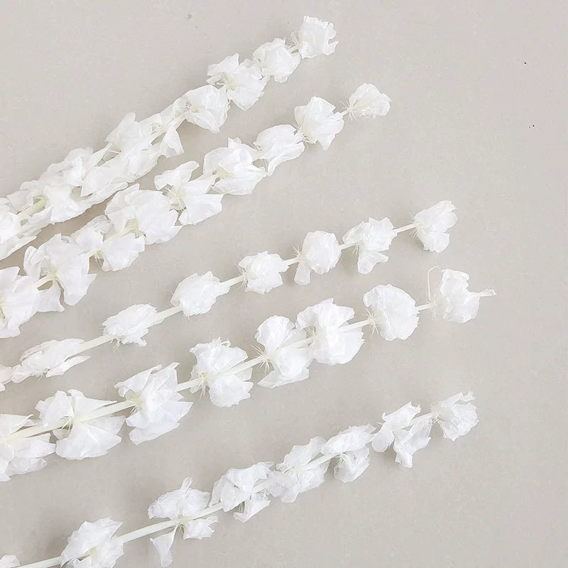 Wholesale eternal shell flower white ornaments flower arrangement shell flower photography props