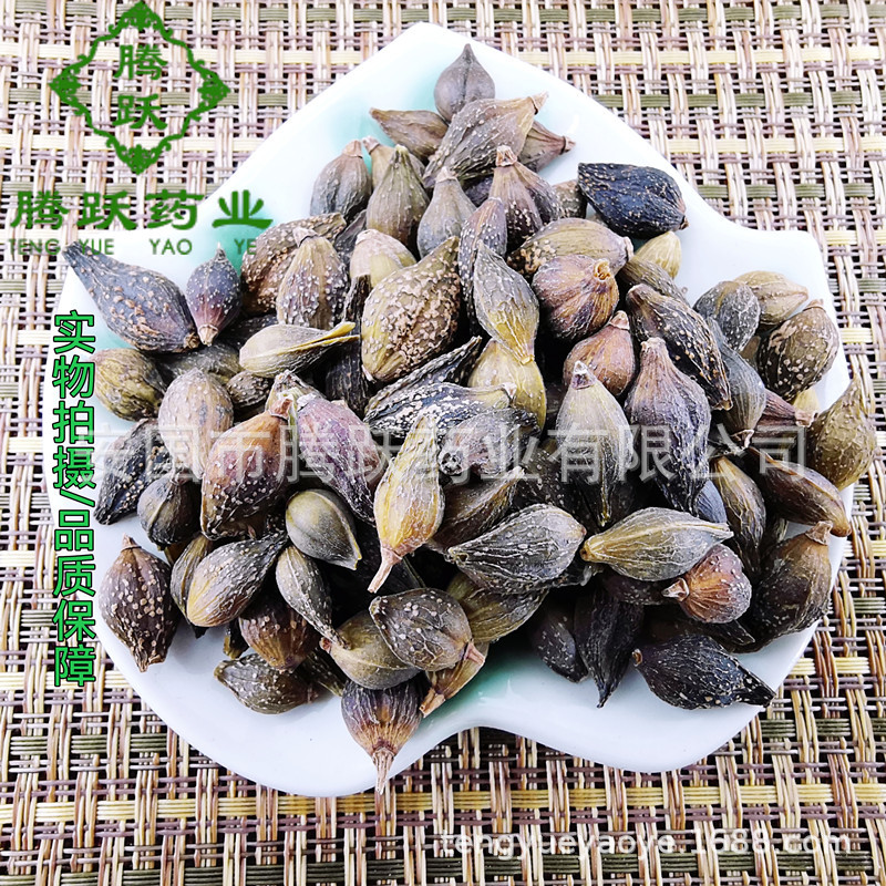 Dried Forsythia Fruit Lian Qiao Whole Herb Bulk 500g Bag Traditional Chinese Herbal Ingredient quality and texture