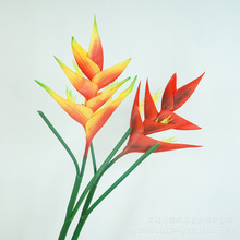 孔雀花 孔雀花品牌 图片 价格 孔雀花批发 阿里巴巴
