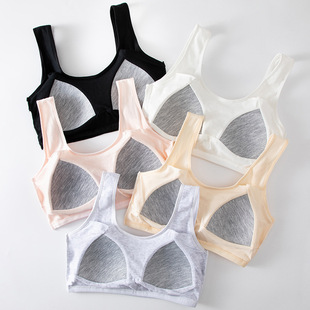 Girls Students' Non-Wired Breast-Wrapped Pure Cotton Intimates Development Period Junior High School and High School Students Fixed One-Cup Bra Thin Section