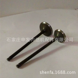 气门及部件;发动机总成;气门部件
