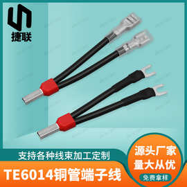 TE6014铜管端子线 针型一分二插簧/U型冷压端子线 电箱机柜连接线