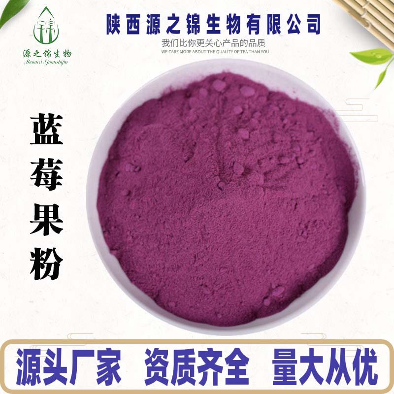 蓝莓粉 水溶蓝莓果粉 蓝莓花青素 蓝莓浓缩汁粉SC厂家现货 可寄样