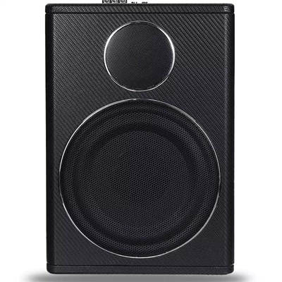 Wholesale car audio modified Car speaker/subwoofer
