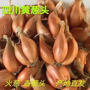 �Nֲ�����Ĵ�С���[�t�[�^��ѿ���Ի��[�S�[�ļ��[��ե�[�͸���Ȼ
