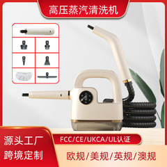 跨境新款高温高压蒸汽清洗机家用小型便携式油烟机空调家电清洁机
