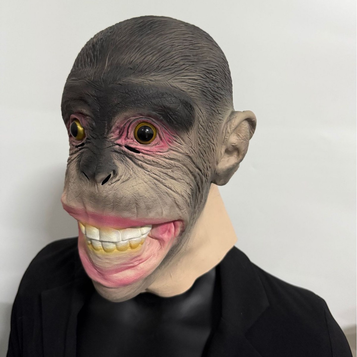 Gorila gorilla gorilla