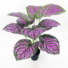 ��12�^��ˮ�^�����T�~�ӷ�����~�ӾGֲ�٘�Ҿӈ@�־G���S�����l