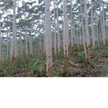 ���N���������N�Ӯ����·N����������V��9̖�����f���N��