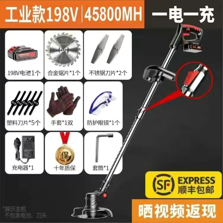198v industrial 49800, one electricity and one charge