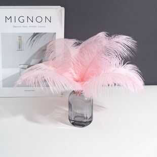 ��ɫ20-25cm�r�Bë���g��ƿ�[���W�t����ë�b��������廨diy����
