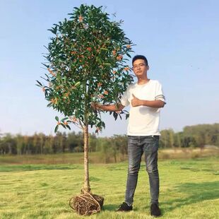 ����ԭ���𻨘����ļ��𻨵��԰���ͥԺ�ߗU��������������