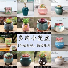 ���⻨���մɶ���ֲ����Տ͹��؟���ɰ���Ä����С���s