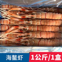 批发新西兰海鳌虾深海螯虾小龙虾新鲜甜虾海鲜水产日料刺身1公斤