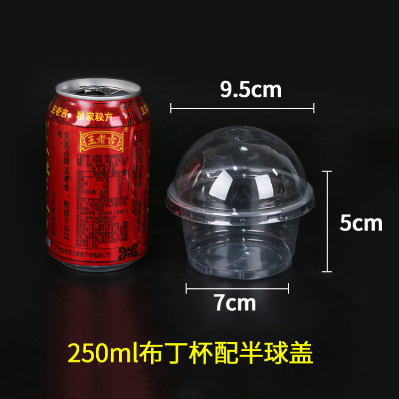 250 soup cups + 100 sets of arch lids