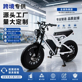 电动自行车;电动摩托车;其他电动车