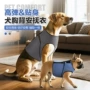 简易新款安抚夏天胸背