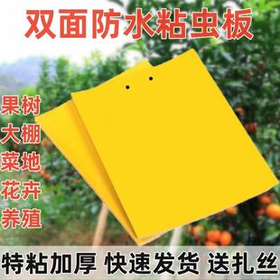 Double-Sided Sticky Insect Trap Board for Greenhouse Yellow Board Blue Gardening Sticky Insect Trap Fruit Tree Insect Prevention Board Degradable Glue