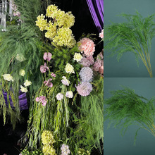 ������c�Gɫ�Gֲ�����J������횲ݻ�Yɭϵ��픱���·���ٻ�