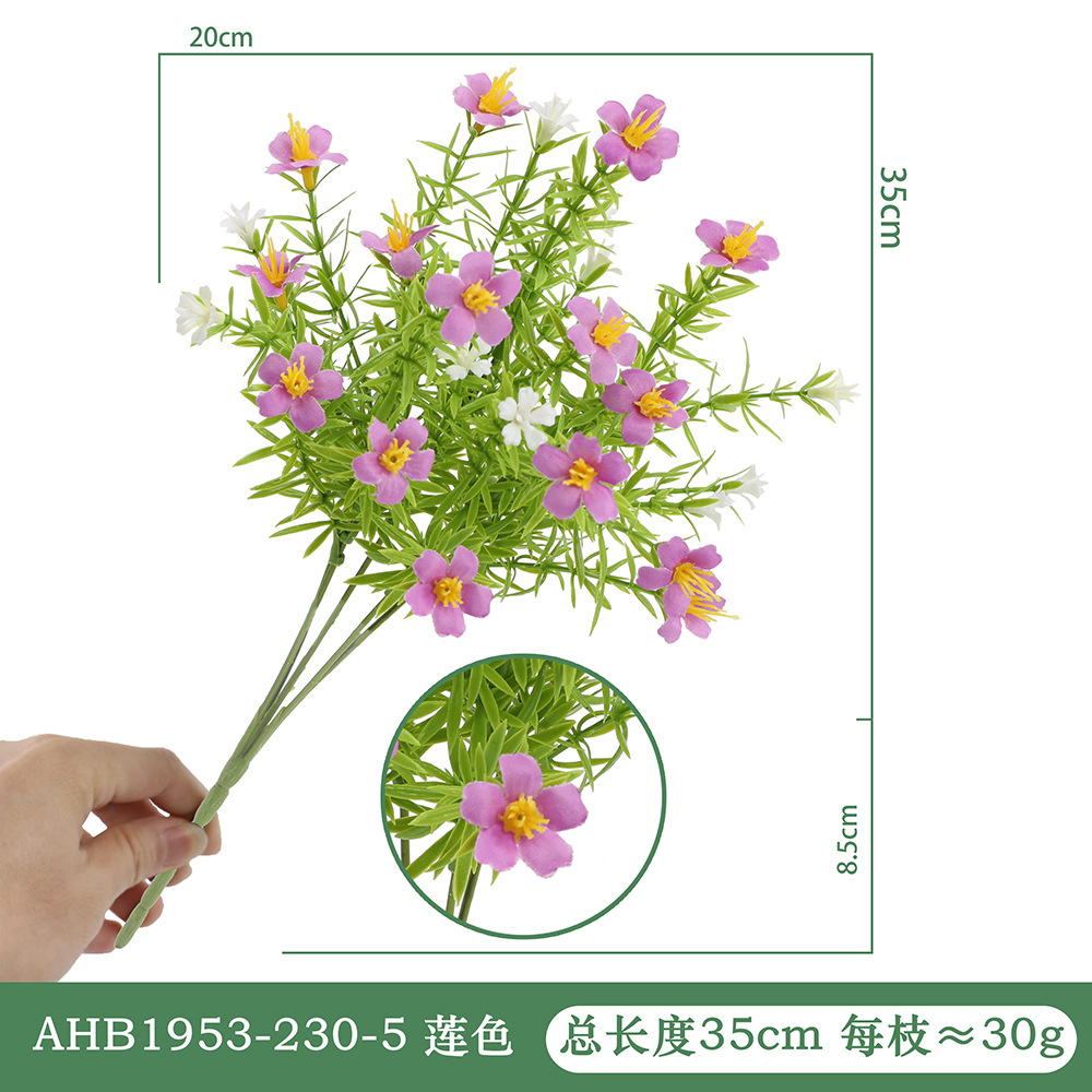 리틀 데이지-로터스 AHB1953-230-5