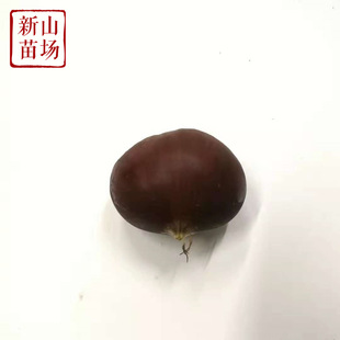 ������ ë��t �F�����t�ۼ޽�С�����Ә��������Ʒ�NƷ�N