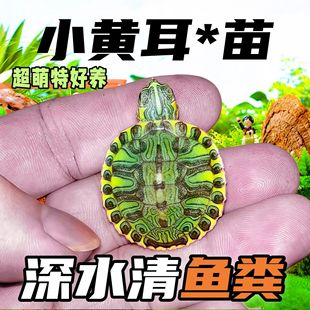 ���~�S����С�S���~���^�V�坍�~�S��ˮ��߅ϡ�������S�����~�S