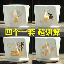 ��ŷ�绨���մɸ��Դ������������Ŵ��������ܶ��⻨��