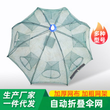 �Ԅ��ۯB��W�r�\���~�W�S�X���q�з�\��N���ΝO�W���r�W