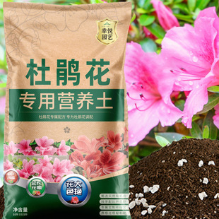 �N���N�������϶��N���I�B���B��ͨ����������������