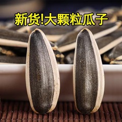 代发生瓜子葵花籽新货500g 特大颗粒毛嗑葵花籽生葵花瓜子
