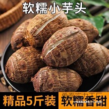 香甜牛奶芋艿芋头仔批粉小芋头新鲜毛现挖糯包邮云南其他全年