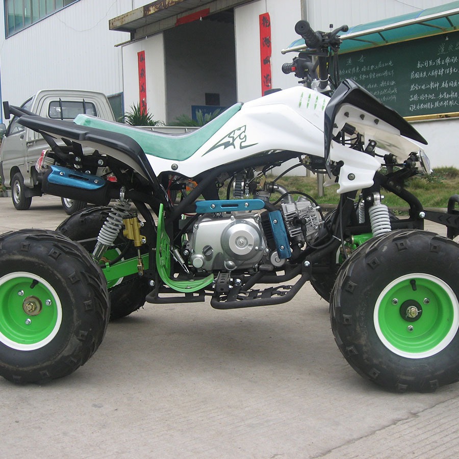 110Cc125Cc Engine Assembly for Beach Bikes and Go-Karts, 1 Forward Gear with Reverse Gear, 1+1125 Engine
