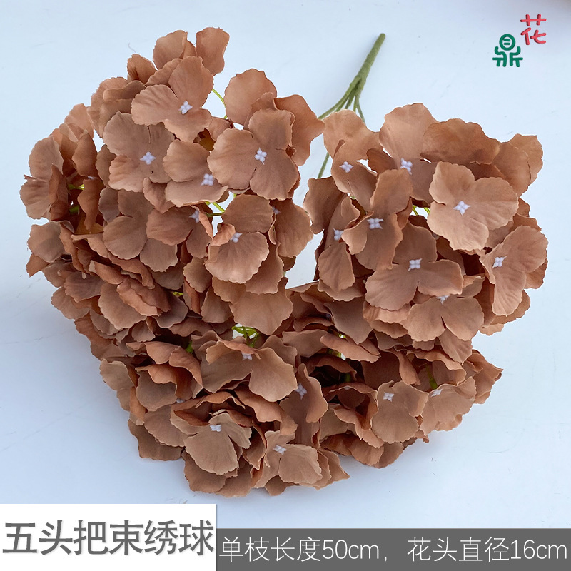 Five -headed hosem LS brown