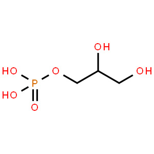 G9381 α-甘油磷酸脱氢酶 双重质检 可开发票 质量保证 索莱宝