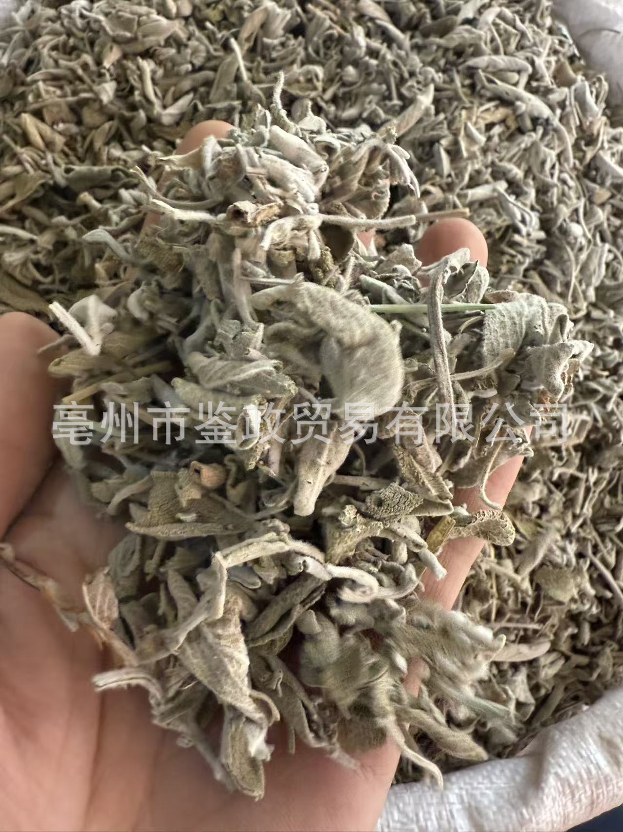 Dried Sage Leaves 500g Salvia officinalis Culinary Herb for Western Cooking and Herbal Tea key features