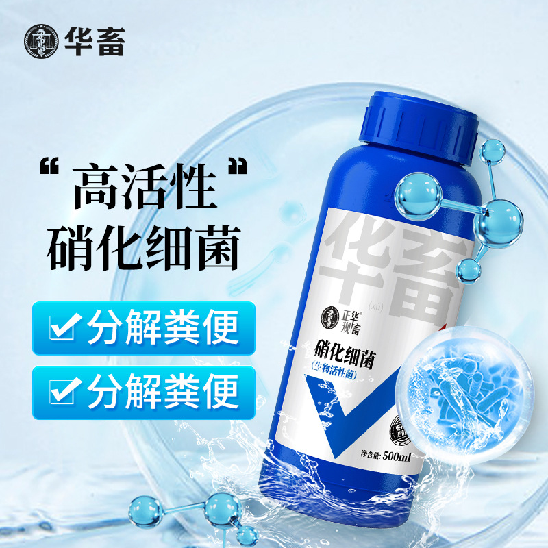 华畜硝化细菌鱼缸用净水剂养鱼净化水质稳定剂分解鱼粪消化活菌液