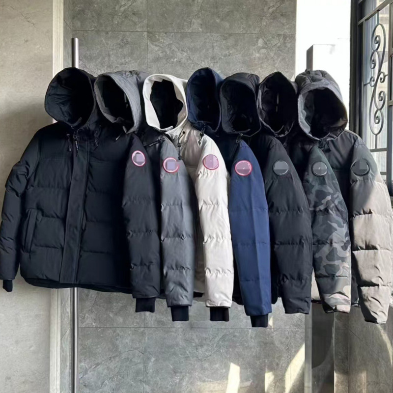 Cross-Border Exclusive Supply of Putian Goose 17 Models of down Jackets, Unisex Jackets, Couple's Styles, Winter Thickened down Jackets Wholesale