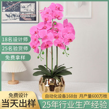 ��������m����ODM���Ʊ��W�Ƶ�Ҿ߄����b�����ٺ����m���辰