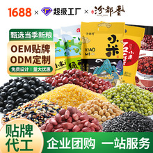 �ڶ���ɽ���SС�׾G���S���t���t�׺��׻������׼R��������Ƭ֥��