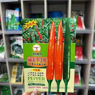 �ɏV���ϟ��N������4̖���콷�N�Ӹ߮a��������ͽ�����3̖������