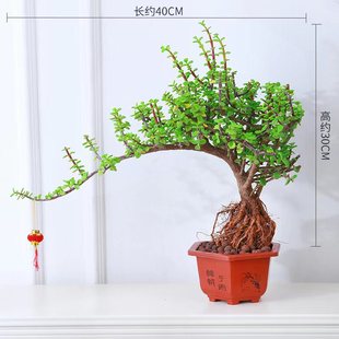 ��֦���~�������ԑ�������Ϙ��p�Ӱl�����͘��Ͱ�����ͥԺǤ����