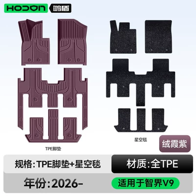 Suitable for Zhijie V9 Floor Modelə uyğun ayaqaltı - 212t01-zhijie-v9-26-models-seven-seats-double-layer-foot-pad-rongxia-purple-tpe-black-starry-sky-blanket-starry-sky-cover