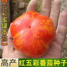 �t��ʷ��ѷN�ӼtƤ��N�ѾG�������ʷ������t��ɳȿ�߲˷N��