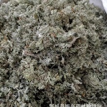 绵茵陈 统装 500g 产地甘肃 振兴药材购销站 量大从优 一站式采购